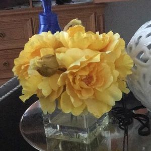 Meet your Posher, Devin